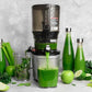 Kuvings Slow Juicer AUTO10S, silver, estrattore a freddo 50 giri al minuto + Ice Cream – Filtro per Gelati e Sorbetti