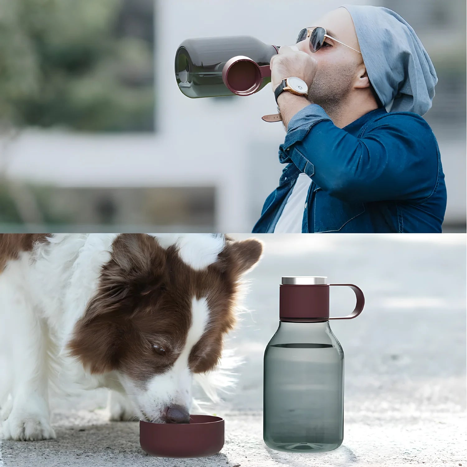 Asobu bottiglia con ciotola per animali bordeaux L 1,5 in Tritan