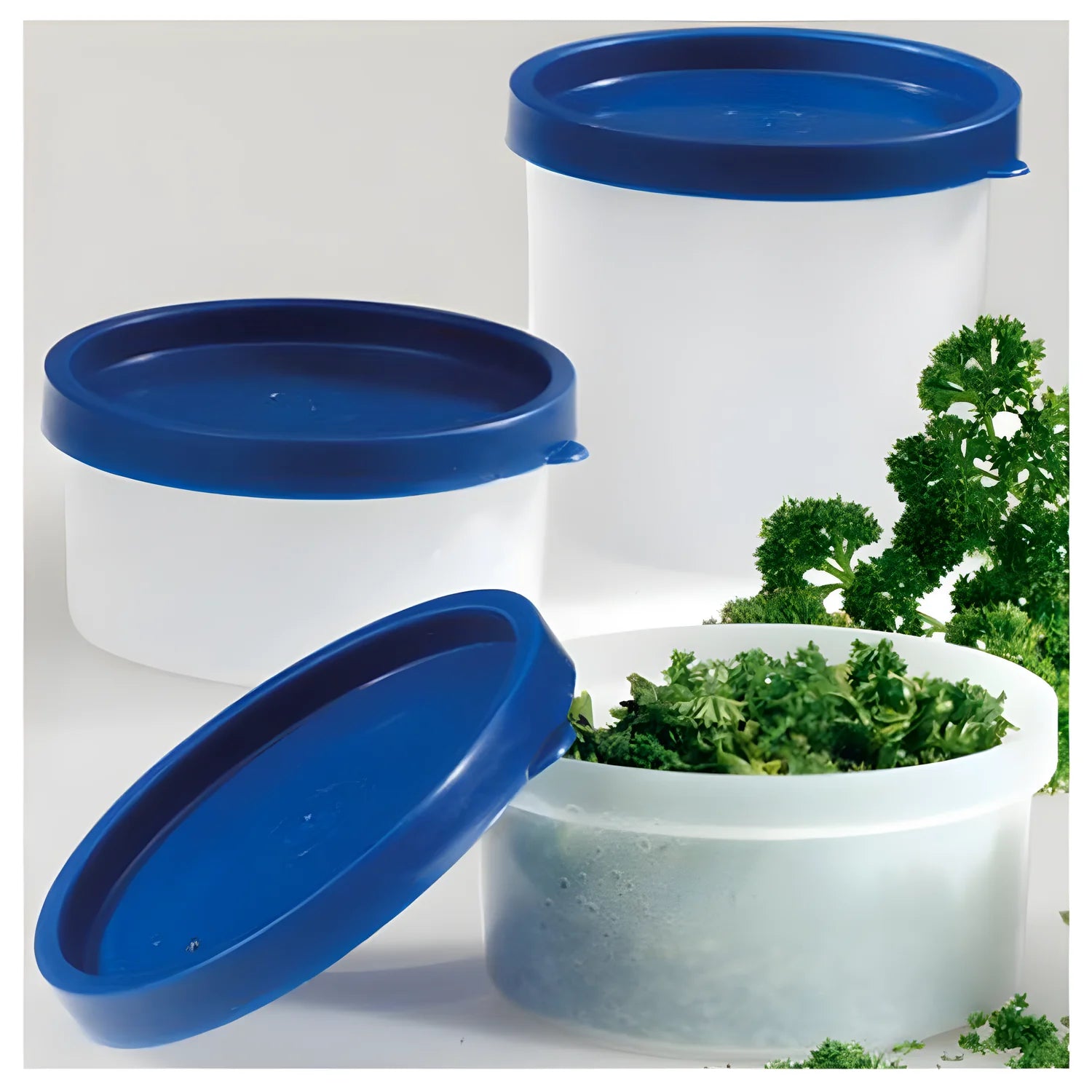 Set di 4 contenitori per spezie CL 20/cm 8x7