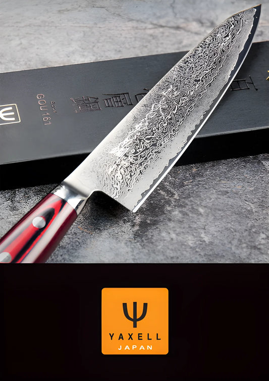 Yaxell GOU Coltello da Cuoco Lama 25,5 cm – Acciaio SG2 63 HRC, 101 Strati Damasco