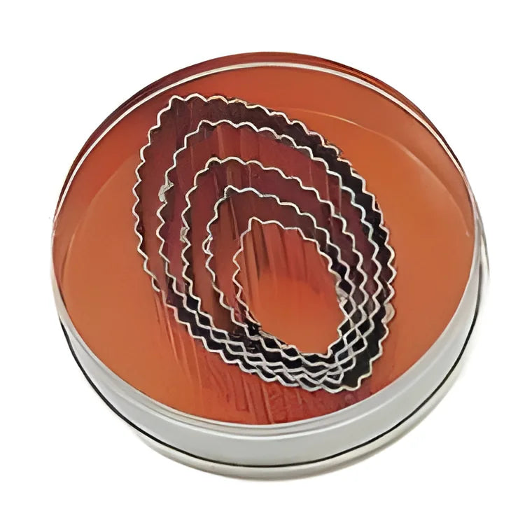 Tagliapasta in scatola 5pz. Foglia festonata .stp62