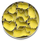 Tagliabiscotti set di 9 mini animali acciaio inox EVA 04 12 61