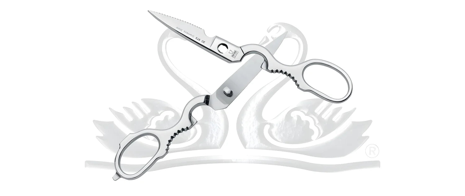 Due Cigni forbice da cucina speciale smontabile inox 2C 974/22