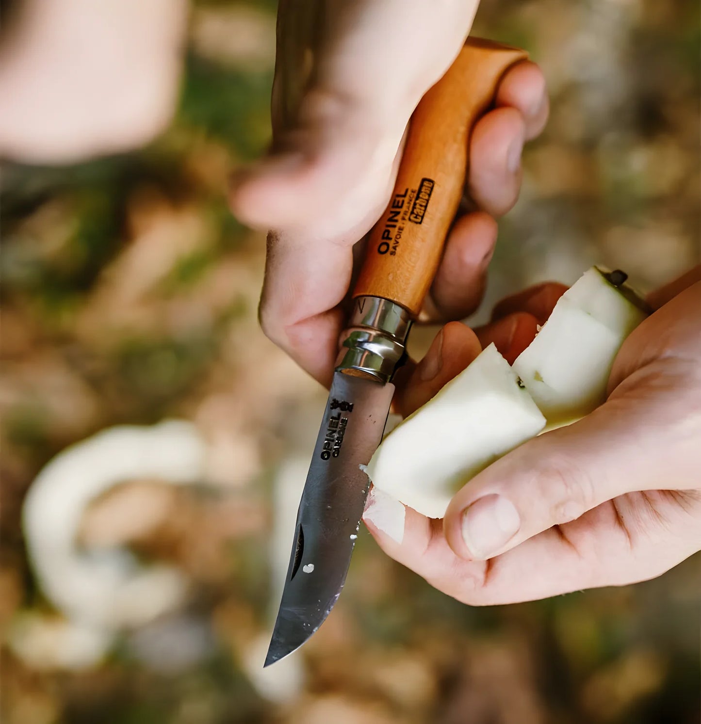 Opinel coltello da tasca n°8