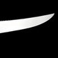 Sanelli Ambrogio coltello professionale da disosso curvo rigido Supra cm 15 SD00015