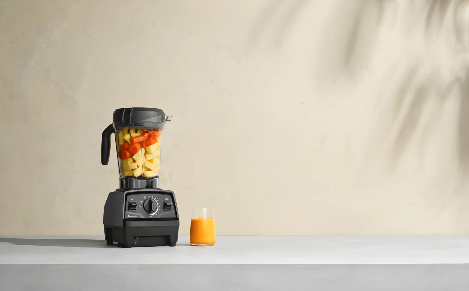 Vitamix potente frullatore blander Explorian 1300 W caraffa 2 Lt - VTX E520 BK