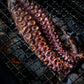 YAKINIKU Shichirin Large Rettangolare – Griglia da Tavolo Konro per 4-8 Persone