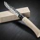 Opinel N. 10 Coltello Shiori Nigara Hamono Edizione Limitata