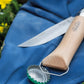 Opinel coltello Bivacco Astuccio Cavatappi Apribottiglie N. 10