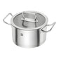 Zwilling Pro Set 5 Pentole in Acciaio Inox: Casseruola 16 cm 1,5L + 20 cm 3L, Pentola 16 cm 2L + 20 cm 3,5L + 24 cm 6L – Art. 65120-005-0