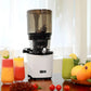 Kuvings Slow Juicer AUTO10S, silver, estrattore a freddo 50 giri al minuto + Ice Cream – Filtro per Gelati e Sorbetti