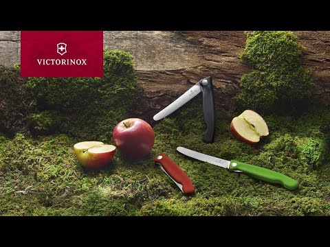 Victorinox Coltello pieghevole da picnic Swiss Classic ondulato  Arancione in blister 6.7839.FC1