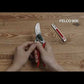 Felco kit cesoia n.6 + affilatore 906