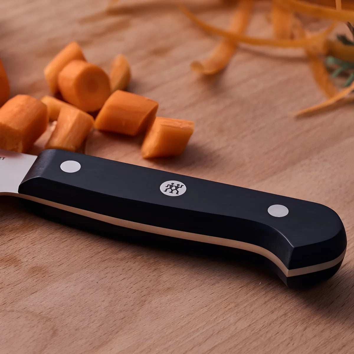 Zwilling Gourmet Coltello da Carne Liscio 16 cm – Acciaio Inox, Manico Ergonomico