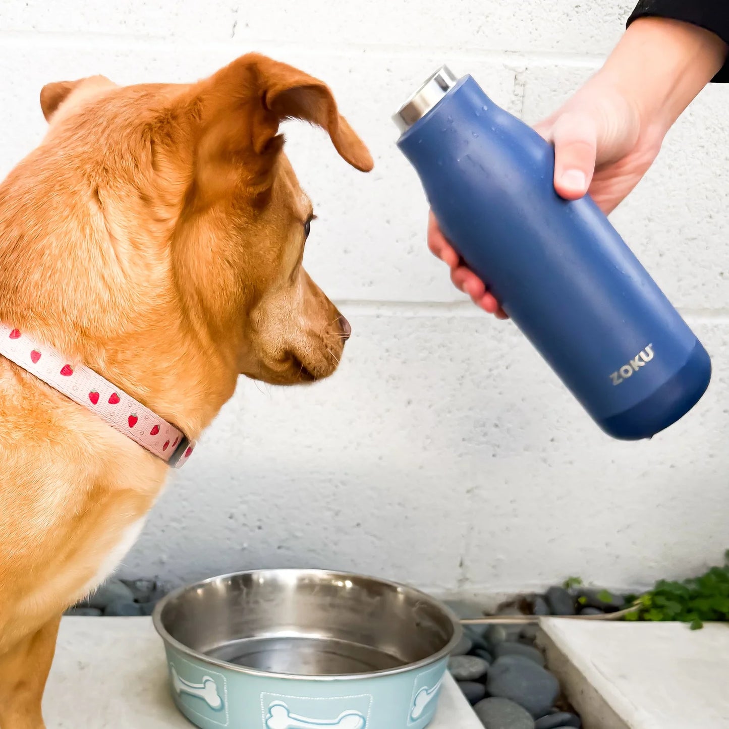 Zoku Bottiglia termica da 500 ml Navy