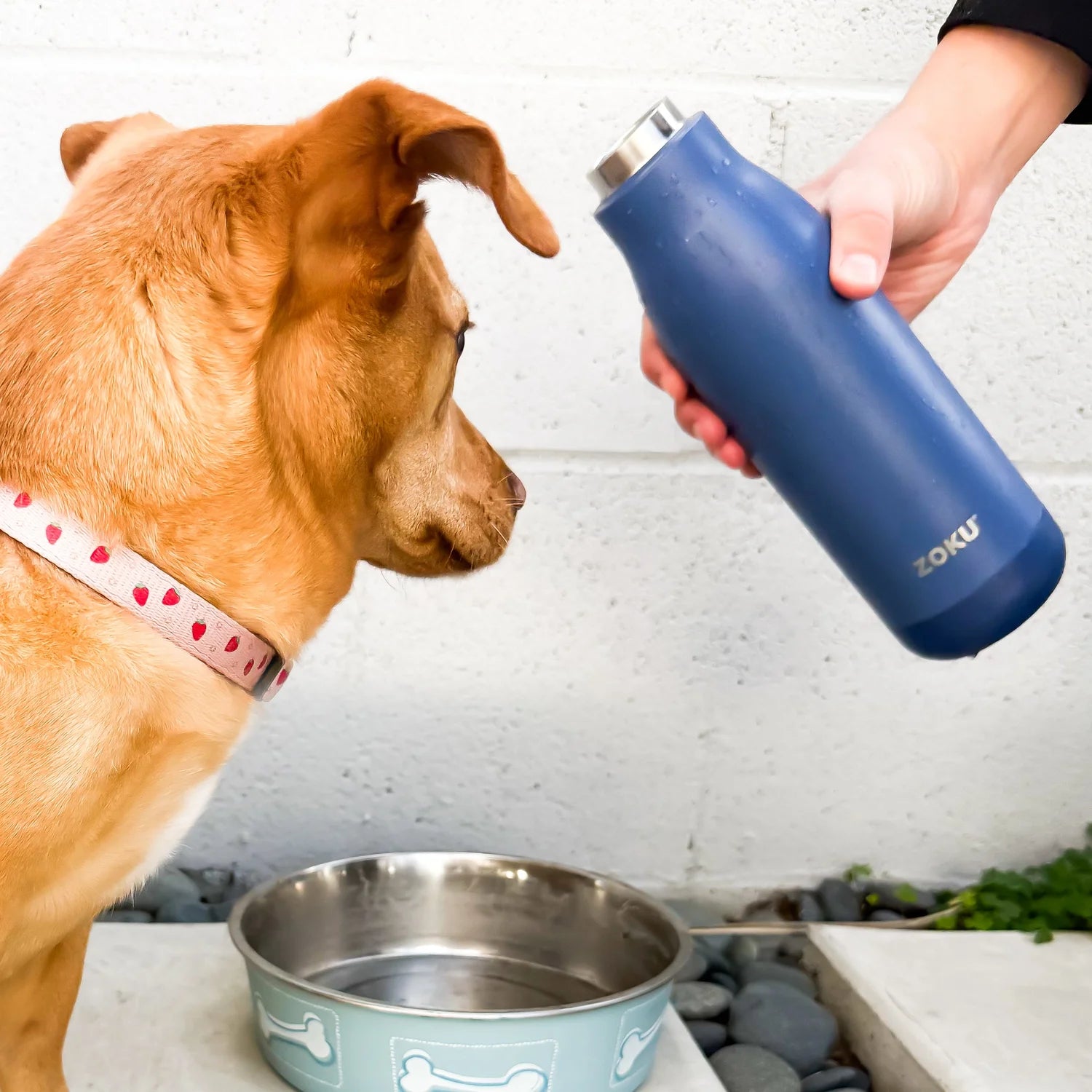 Zoku Bottiglia termica da 500 ml Navy