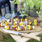 Opinel x Atelier TUFFERY – Set Barbecue Cofanetto Condivisione Edizione Limitata