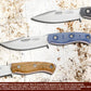 Fenix coltello castrino per incidere le castagne