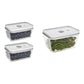Zwilling Fresh &amp; Save Set di tre contenitori s/m/l in plastica
