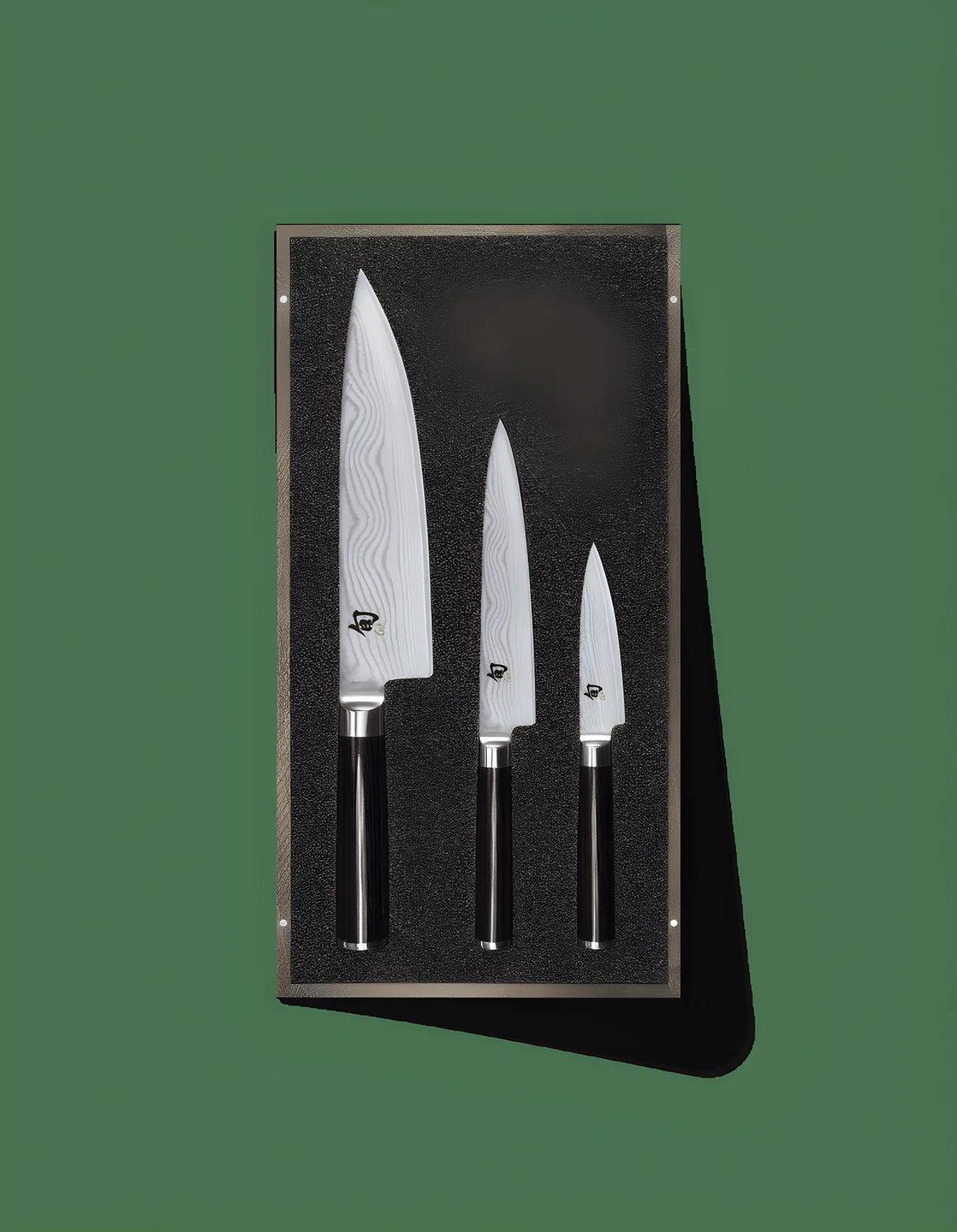 Kai Wasabi Set di due coltelli da bistecca 67S-400