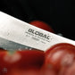 Coltello cucina Deba cm.18 Global G-07R
