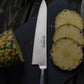 Coltello cucina trinciante cm.24 Global G-16