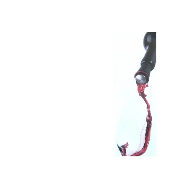 Aeratore e tappo per vini DropStop 4630919
