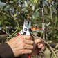 Felco Forbice da potare MOD.11 Art.F011