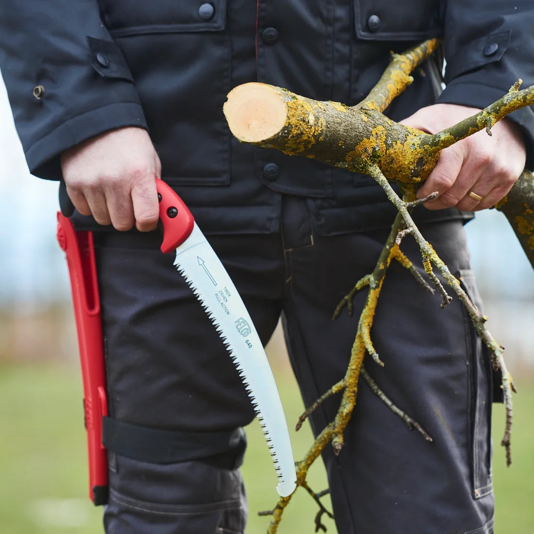 Felco 603 Sega da potatura a trazione Lama pieghevole 20 cm
