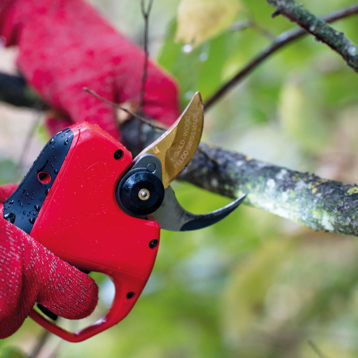 Felco 991 Pompa di ingrassaggio fulcri forbici cesoie elettriche