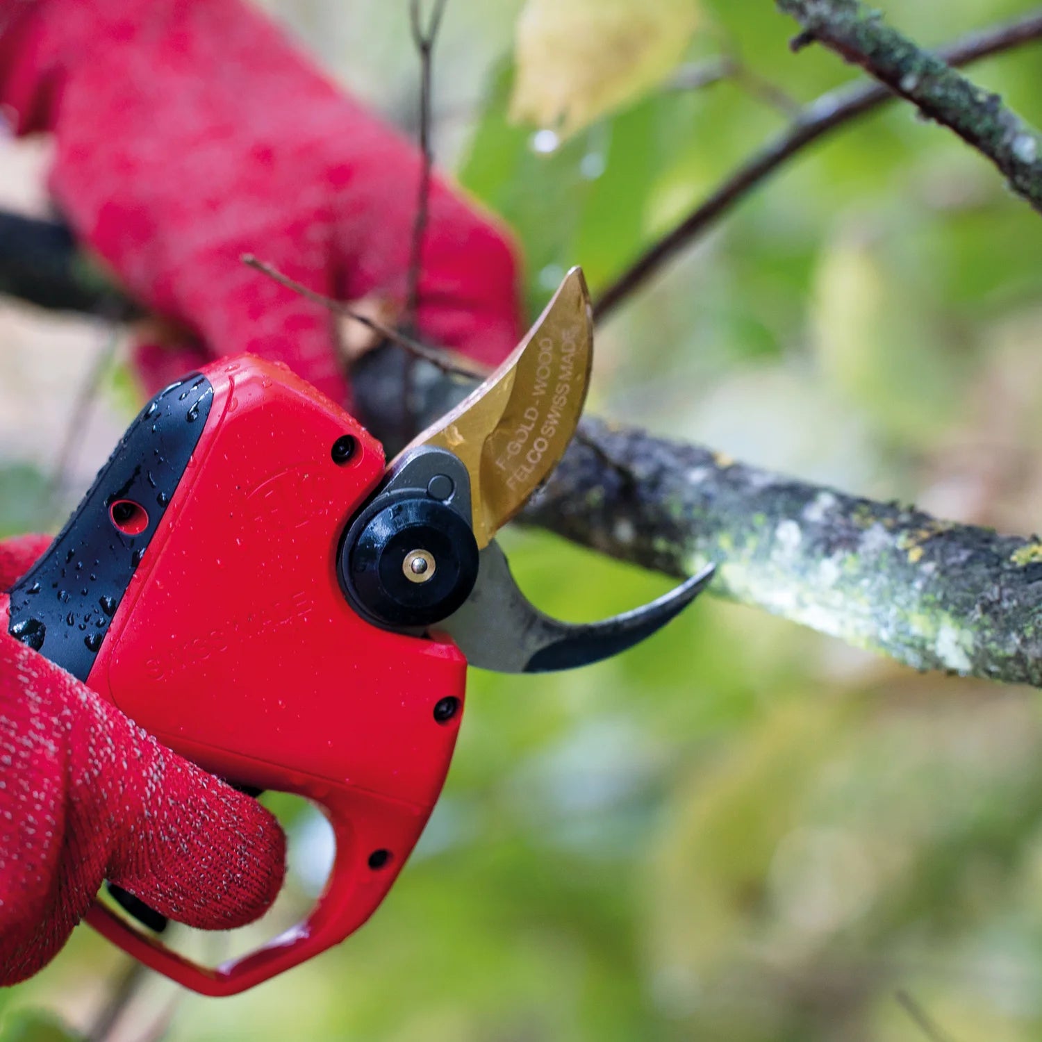 Felco 991 Pompa di ingrassaggio fulcri forbici cesoie elettriche