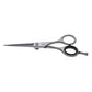 Robur forbice per peli naso orecchie retta 4" (cm10,6) acciaio inox di alta qualità 71/4