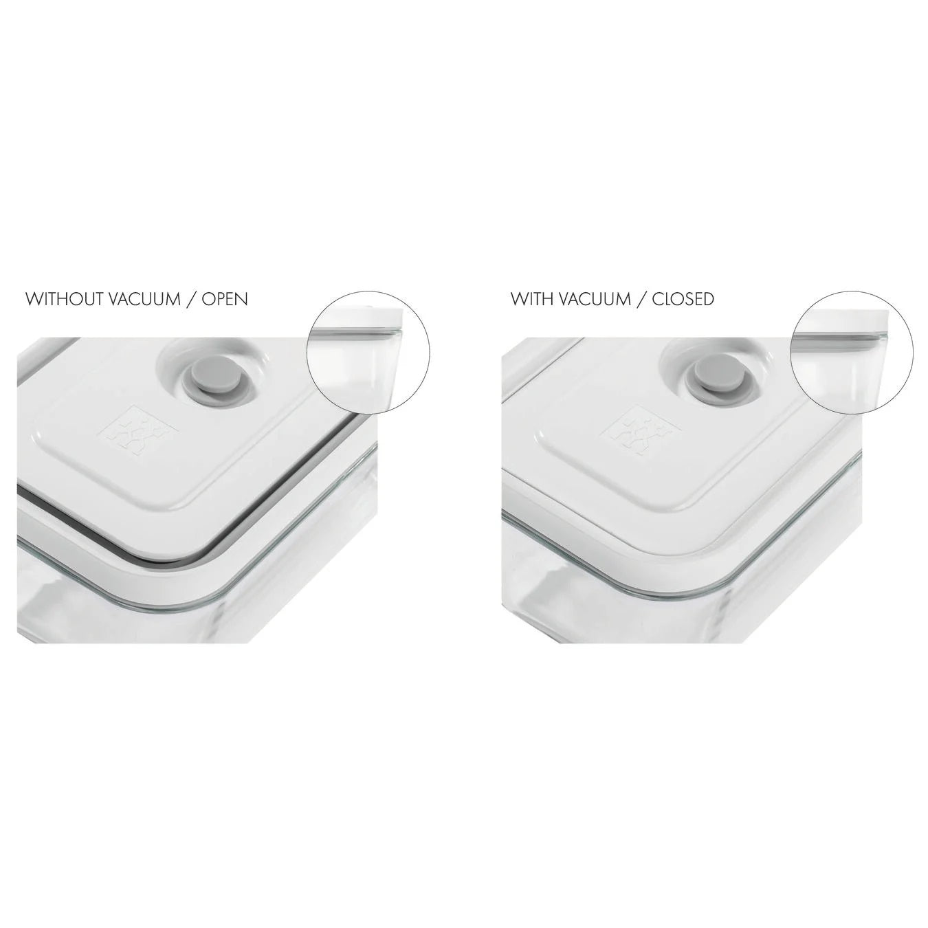 ZWILLING Fresh & Save Piatto Gratin Sottovuoto, Vetro, La Mer | Leroy ZWILLING Fresh & Save Piatto Gratin Sottovuoto, Vetro, La Mer | Leroy