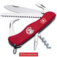 Victorinox Coltello Multiuso Equestrian 12 Funzioni