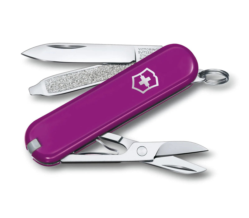 Victorinox Classic SD Color Tasty Grape 0.62 23.52G