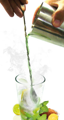 Cucchiaio lungo cm.30 miscelatore Cocktail Art.FIK004